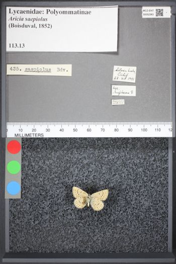Media type: image;   Entomology 52363